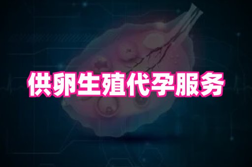 gfg孕网 2