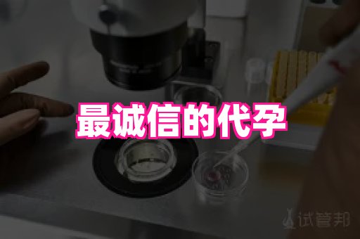 gfg孕网 4